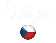 Czech language