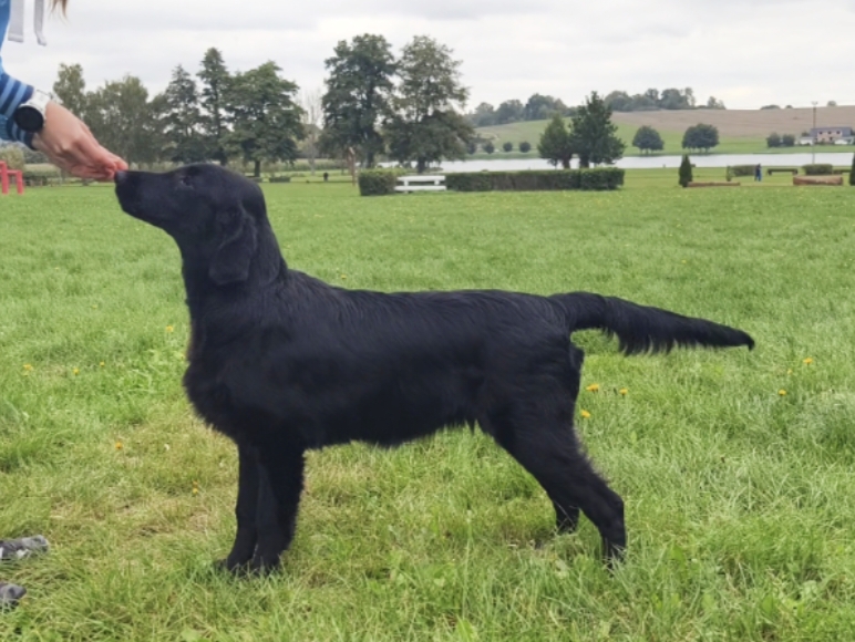 Ethereal Ester od Černé perly